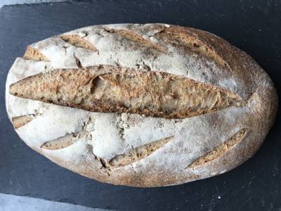 Speltbrød