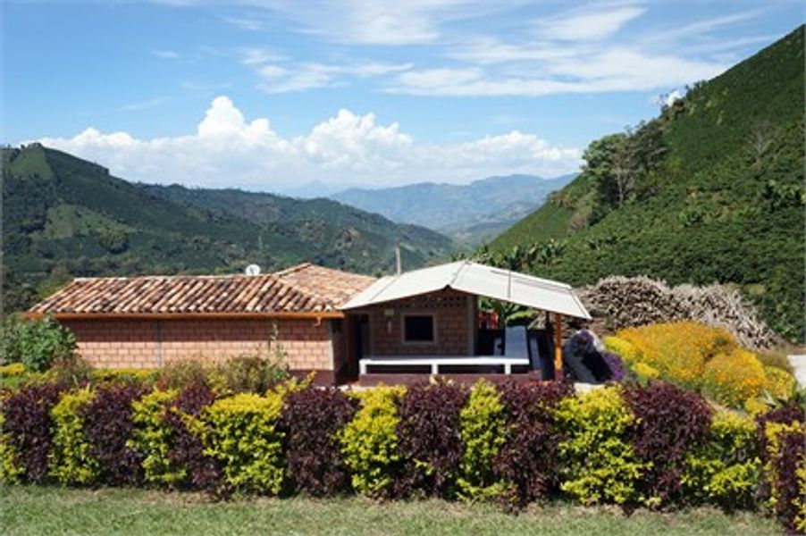 Colombia Finca La Mercedes