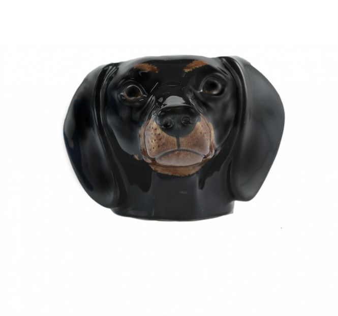 Hovedbilde Dachshund  Face Eggeglass