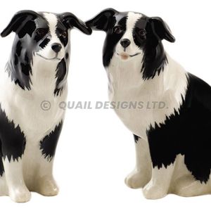 Hovedbilde Border Collie salt & pepper